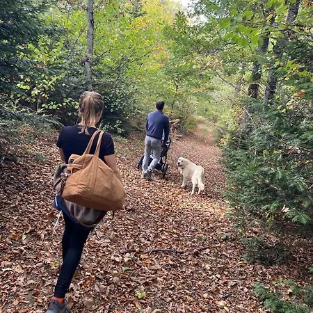 Vakantiehuis Terroir De Terrou Marchastel (Cantal)