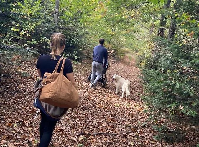 Holiday home Bellevue De Terrou With Natural Pool Marchastel (Cantal)